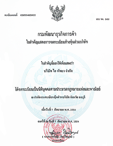 รับออกแบบเว็บไซต์พัทยา